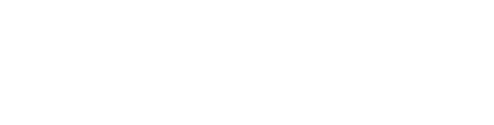 PRAXM Logo